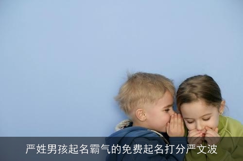 严姓男孩起名霸气的免费起名打分严文波