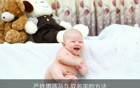 严姓男孩马年取名字的方法