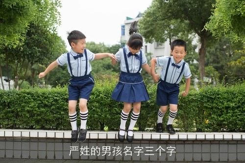 严姓的男孩名字三个字