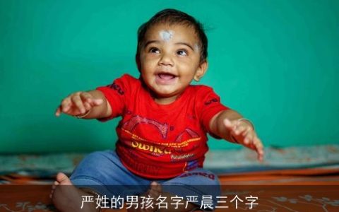 严姓的男孩名字严晨三个字