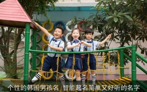 个性的韩国男孩名 智能起名简单又好听的名字