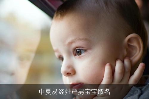 中夏易经姓严男宝宝取名
