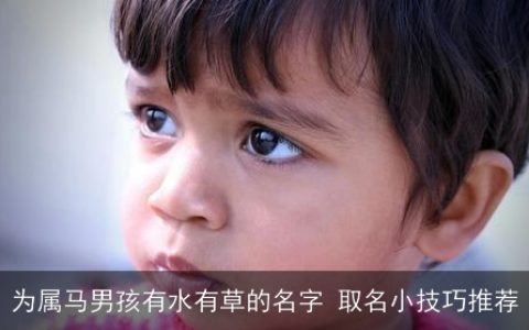 为属马男孩有水有草的名字 取名小技巧推荐