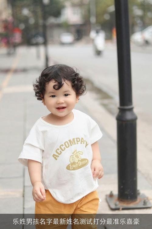 乐姓男孩名字最新姓名测试打分最准乐嘉豪