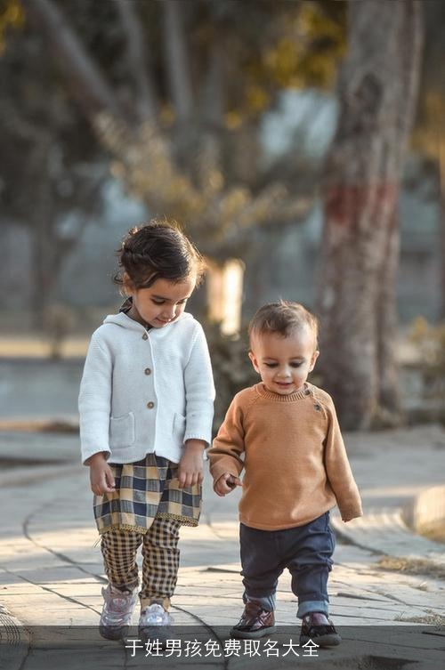 于姓男孩免费取名大全