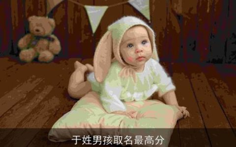 于姓男孩取名最高分