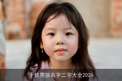 于姓男孩名字二字大全2026