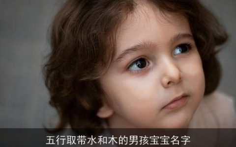 五行取带水和木的男孩宝宝名字