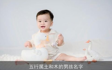 五行属土和木的男孩名字