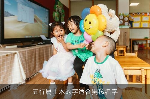 五行属土木的字适合男孩名字