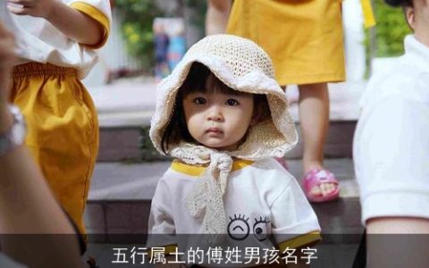 五行属土的傅姓男孩名字