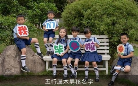五行属木男孩名字