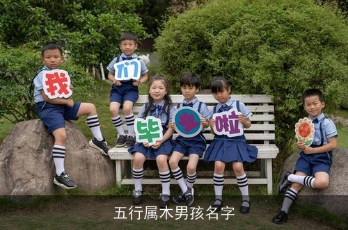 五行属木男孩名字