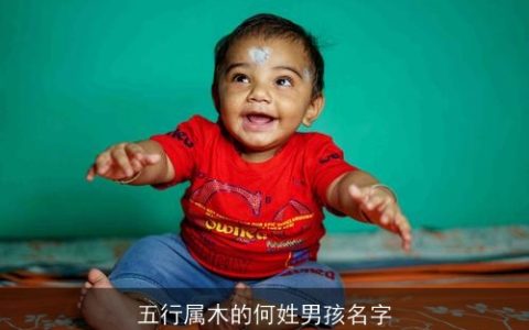 五行属木的何姓男孩名字