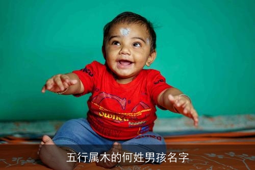五行属木的何姓男孩名字