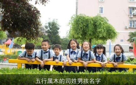 五行属木的司姓男孩名字