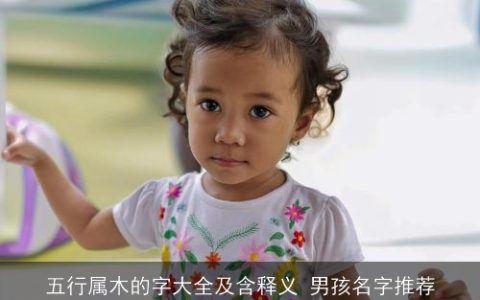 五行属木的字大全及含释义 男孩名字推荐