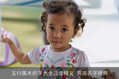 五行属木的字大全及含释义 男孩名字推荐