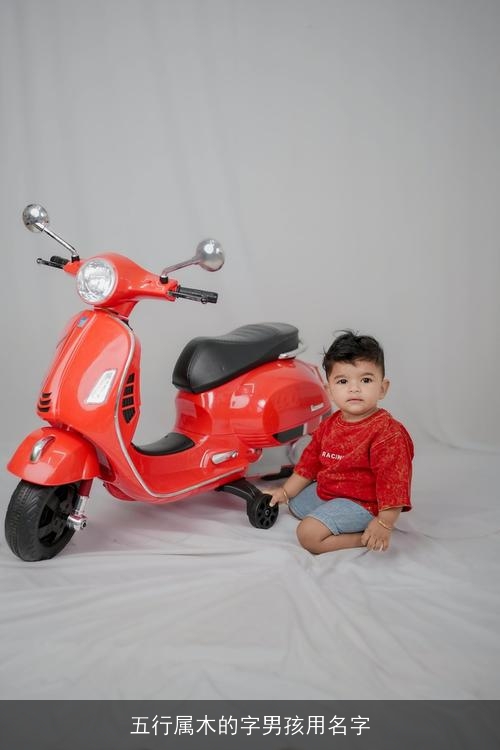 五行属木的字男孩用名字