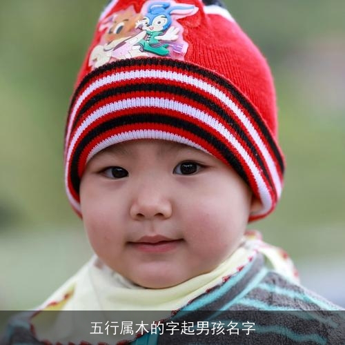 五行属木的字起男孩名字