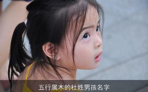 五行属木的杜姓男孩名字