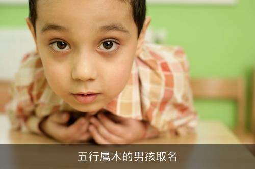 五行属木的男孩取名