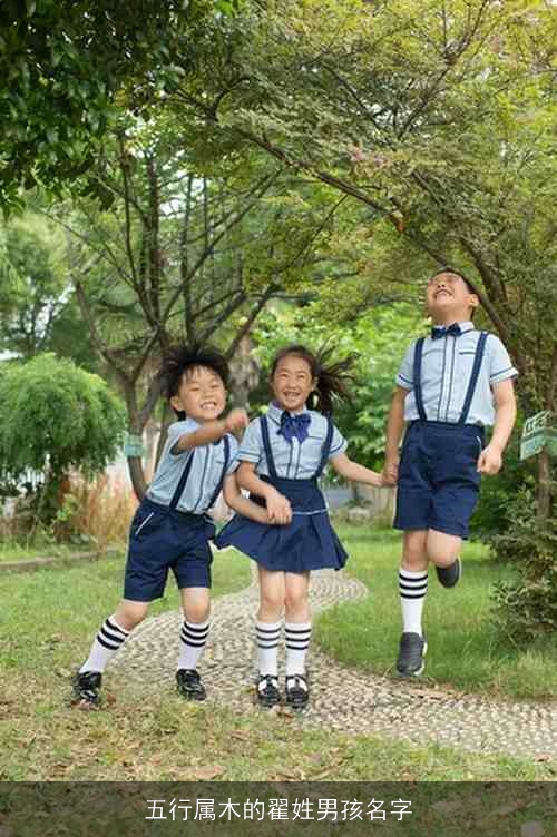 五行属木的翟姓男孩名字