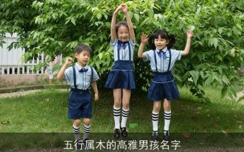 五行属木的高雅男孩名字