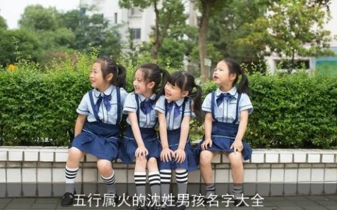 五行属火的沈姓男孩名字大全