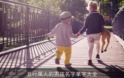 五行属火的男孩名字单字大全