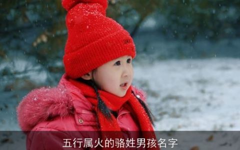 五行属火的骆姓男孩名字