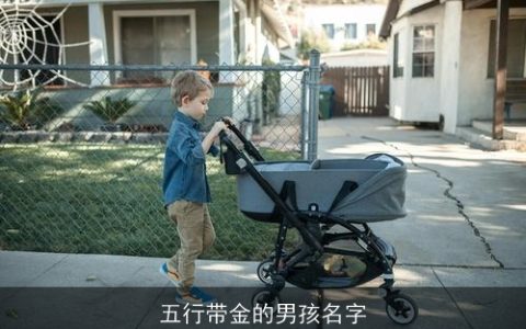五行带金的男孩名字