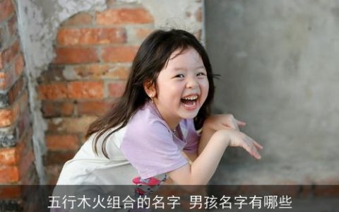 五行木火组合的名字 男孩名字有哪些