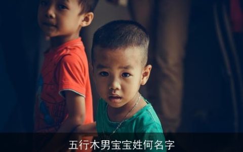 五行木男宝宝姓何名字