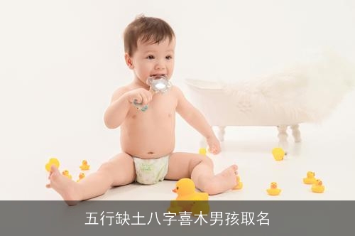 五行缺土八字喜木男孩取名