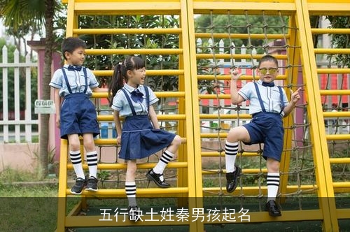 五行缺土姓秦男孩起名