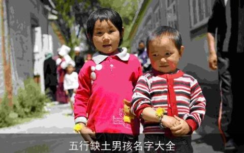 五行缺土男孩名字大全