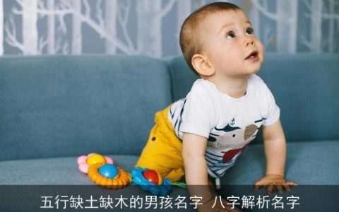 五行缺土缺木的男孩名字 八字解析名字