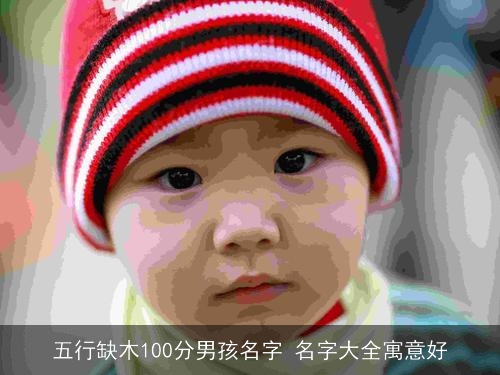 五行缺木100分男孩名字 名字大全寓意好