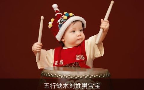 五行缺木刘姓男宝宝