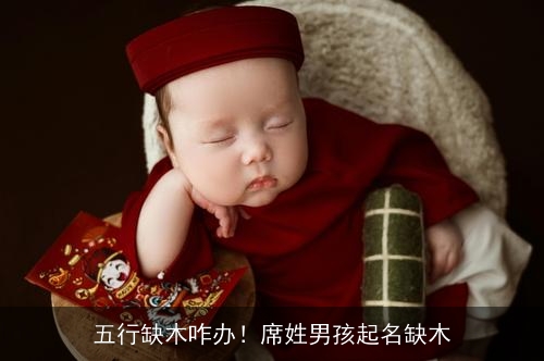 五行缺木咋办！席姓男孩起名缺木