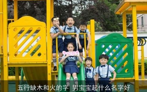 五行缺木和火的字 男宝宝起什么名字好