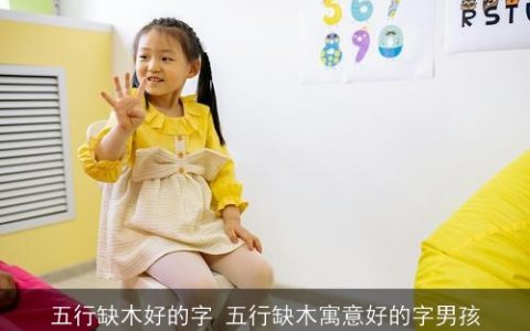 五行缺木好的字 五行缺木寓意好的字男孩