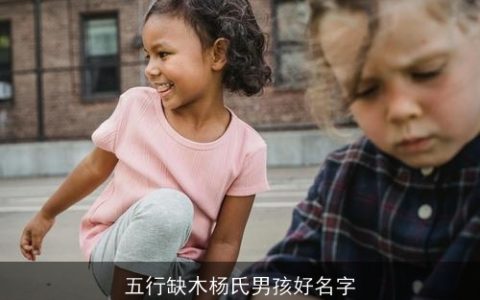 五行缺木杨氏男孩好名字