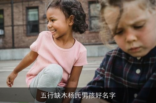 五行缺木杨氏男孩好名字