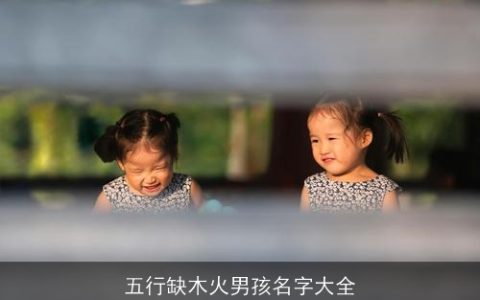 五行缺木火男孩名字大全