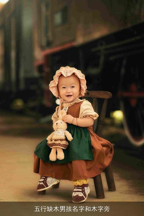 五行缺木男孩名字和木字旁