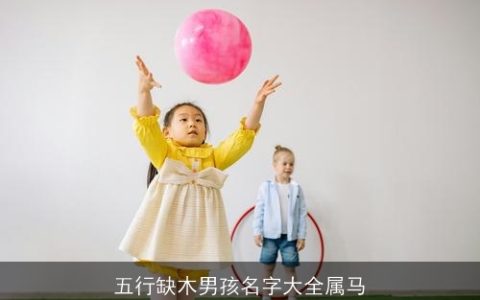 五行缺木男孩名字大全属马
