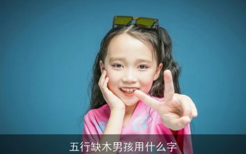 五行缺木男孩用什么字