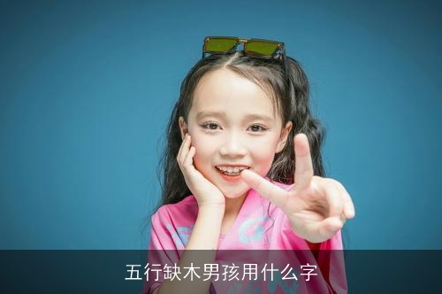 五行缺木男孩用什么字